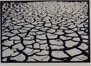 Image description is not available for FIM2015.393.3